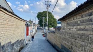 一个武林高手去偷西瓜,居然被活活吓死